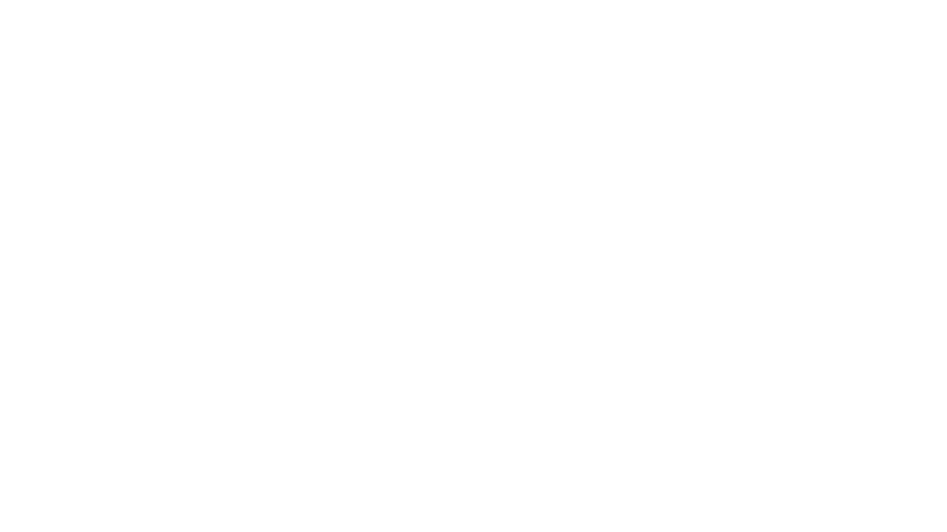 TechZone Audio Products Logo